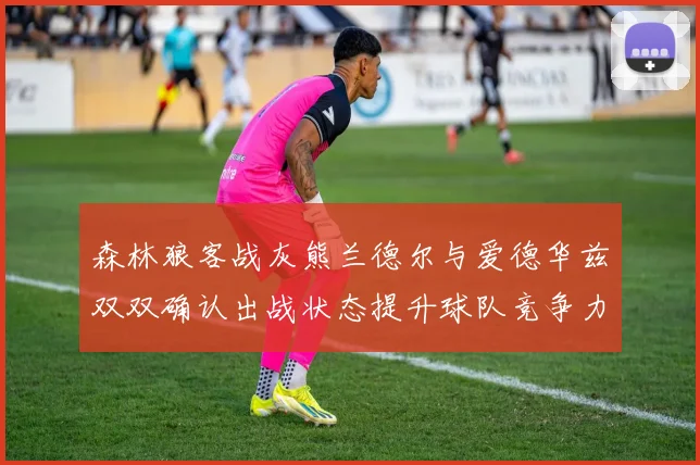 森林狼客战灰熊兰德尔与爱德华兹双双确认出战状态提升球队竞争力